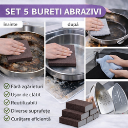 Bureti Abrazivi pentru Indepartarea Grasimii Arse, Set 5 Buc