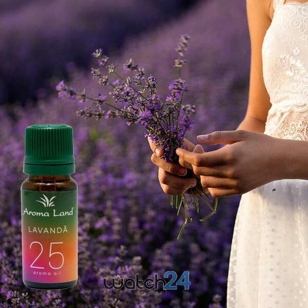 AROMALAND Ulei aromaterapie parfumat Lavanda, Aroma Land, 10 ml