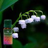 AROMALAND Ulei aromaterapie parfumat Lacramioare, Aroma Land, 10 ml