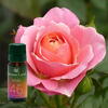 AROMALAND Ulei aromaterapie Roze, Aroma Land, 10 ml