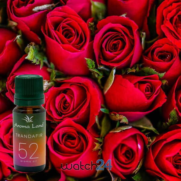 AROMALAND Ulei aromaterapie parfumat Trandafir, Aroma Land, 10 ml
