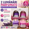 AROMALAND Set 2 lumanari parfumate, Lavanda&Floare de livada, 20h