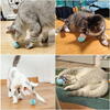 Jucarie pentru pisica, Bila pentru pisici care se roteste, cu incarcare USB, Pet Gravity, Smart Rotating Ball, Bleu