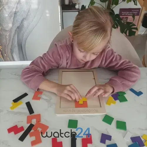 Puzzle din lemn, 40 blocuri, joc de inteligenta, 27 x 18 cm, multicolor