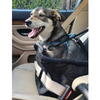 Geanta Transport Animale, Impermeabil, Tip Scaun Auto, Pentru Caine, Pisica, Iepure, 40x40x32cm