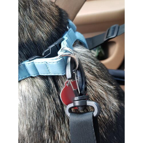 Geanta Transport Animale, Impermeabil, Tip Scaun Auto, Pentru Caine, Pisica, Iepure, 40x40x32cm