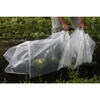 Mini sera, 300x45x40cm, Cadru Metalic, Stil Tunel, Usor de Instalat, Filtru UV, Transparent, 140g/m²