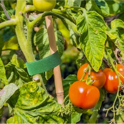 Legaturi pentru plante, Nylon reutilizabil, 5 Metri Lungime, Pentru legat plante si organizare cabluri