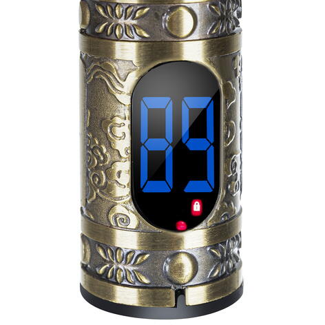 Masina de Tuns Barba Si Contur, 4 in 1, Afisaj Electronic - Incarcare USB, Autonomie 90 Min, Lama Otel, Auriu