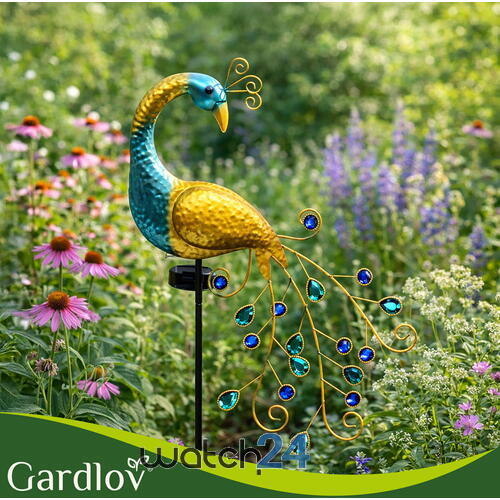 Lampa solară „Păun”, 40 Led-uri