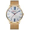 CEAS BARBATESC CURREN SUPERSLIM AURIU-ALB